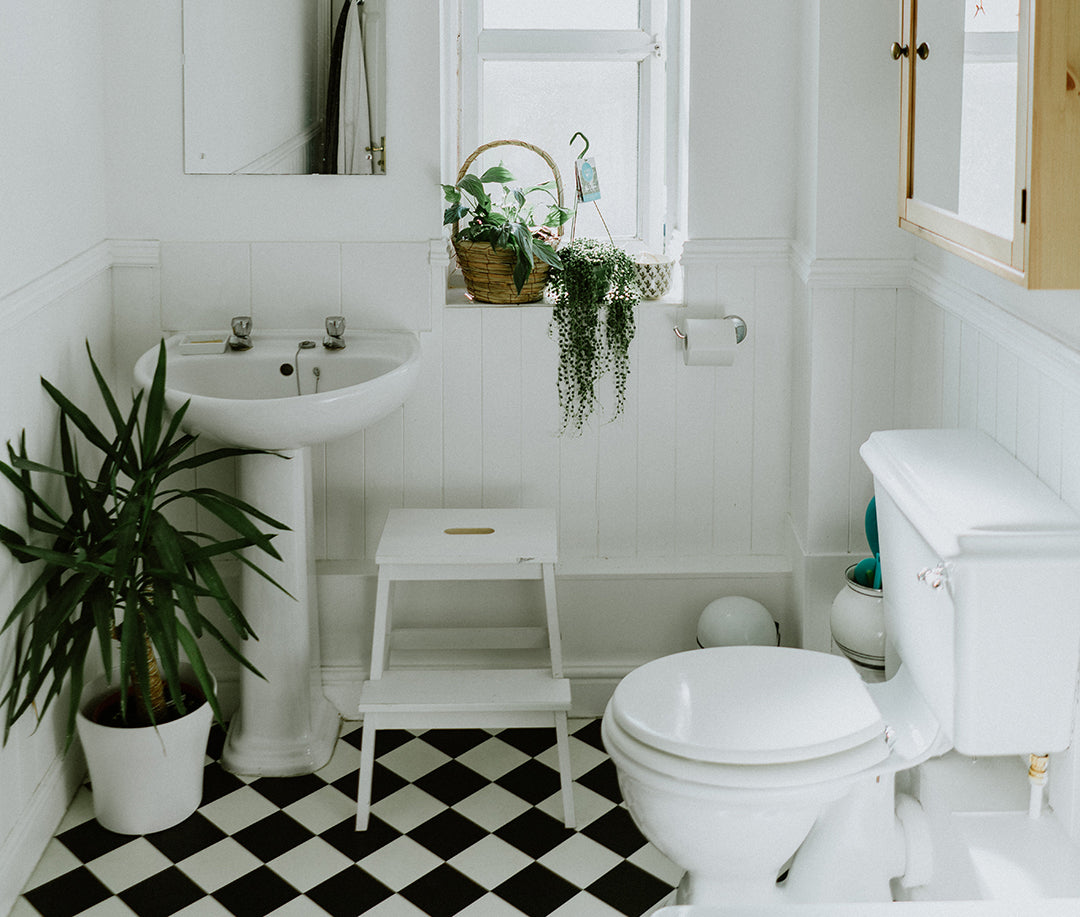 11 Germiest Places in Your Home